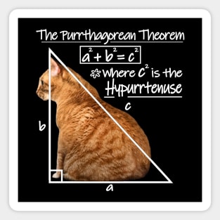 The Purrthagorean Theorem to find the hypurrtenuse. Magnet